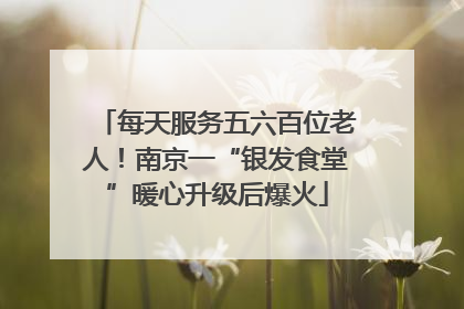 每天服务五六百位老人！南京一“银发食堂”暖心升级后爆火