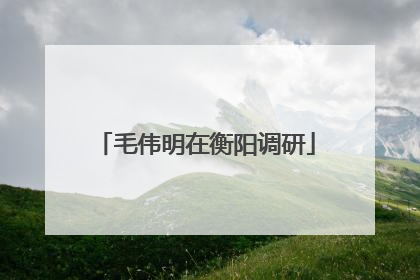 毛伟明在衡阳调研