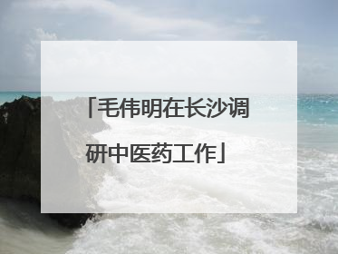 毛伟明在长沙调研中医药工作