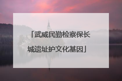 武威民勤检察保长城遗址护文化基因
