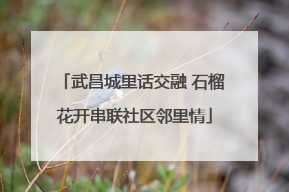 武昌城里话交融 石榴花开串联社区邻里情