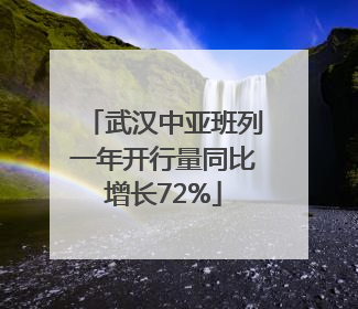 武汉中亚班列一年开行量同比增长72%