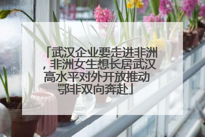 武汉企业要走进非洲，非洲女生想长居武汉 高水平对外开放推动鄂非双向奔赴