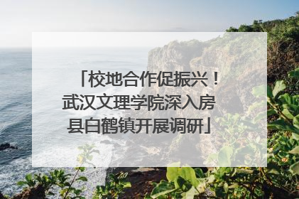 校地合作促振兴！武汉文理学院深入房县白鹤镇开展调研