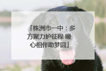 株洲市一中：多方聚力护征程 暖心相伴助梦圆