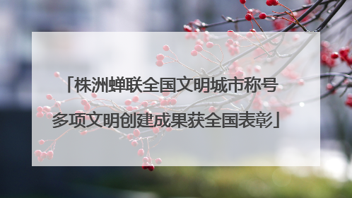 株洲蝉联全国文明城市称号 多项文明创建成果获全国表彰