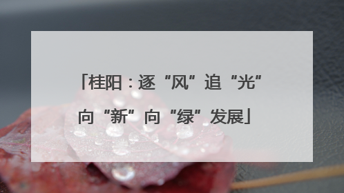 桂阳：逐“风”追“光” 向“新”向“绿”发展