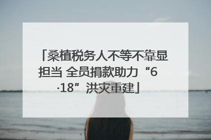 桑植税务人不等不靠显担当 全员捐款助力“6·18”洪灾重建