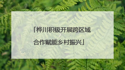 桦川积极开展跨区域合作赋能乡村振兴