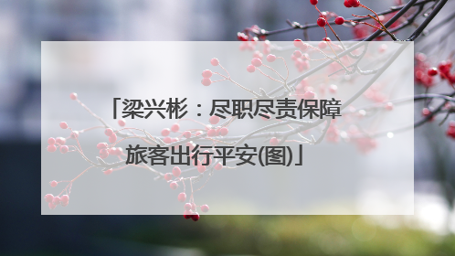 梁兴彬：尽职尽责保障旅客出行平安(图)