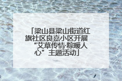 梁山县梁山街道红旗社区良嘉小区开展“艾草传情·粽暖人心”主题活动