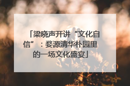 梁晓声开讲“文化自信”：婺源清华朴园里的一场文化盛宴