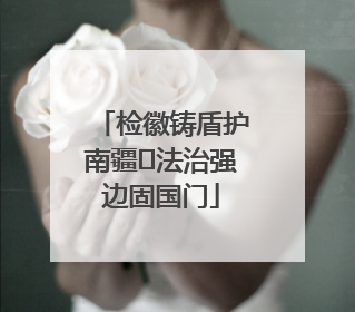 检徽铸盾护南疆 法治强边固国门