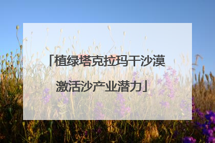 植绿塔克拉玛干沙漠 激活沙产业潜力