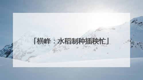 横峰：水稻制种插秧忙