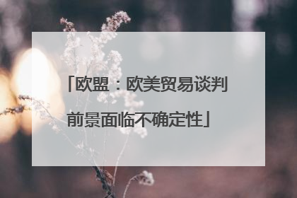 欧盟：欧美贸易谈判前景面临不确定性
