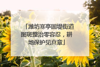 潍坊寒亭固堤街道图斑整治零容忍，耕地保护见真章