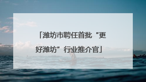 潍坊市聘任首批“更好潍坊”行业推介官