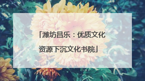 潍坊昌乐：优质文化资源下沉文化书院