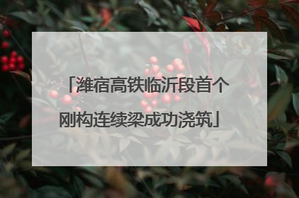 潍宿高铁临沂段首个刚构连续梁成功浇筑