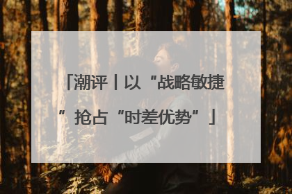 潮评丨以“战略敏捷”抢占“时差优势”