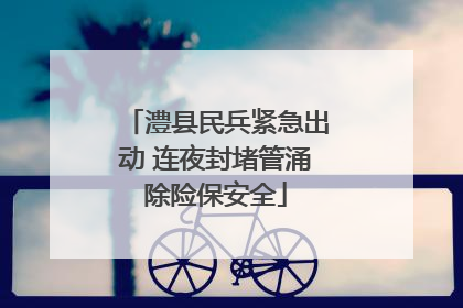 澧县民兵紧急出动 连夜封堵管涌除险保安全