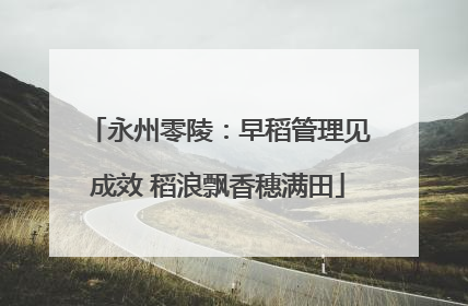 永州零陵：早稻管理见成效 稻浪飘香穗满田