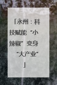 永州：科技赋能“小辣椒”变身“大产业”