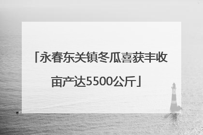 永春东关镇冬瓜喜获丰收 亩产达5500公斤
