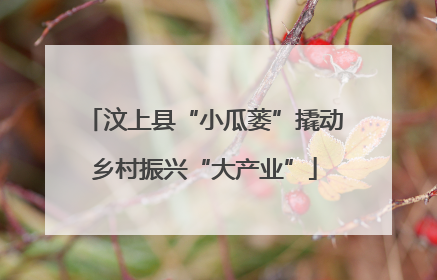 汶上县“小瓜蒌”撬动乡村振兴“大产业”