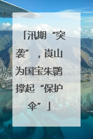 汛期“突袭”，崀山为国宝朱鹮撑起“保护伞”