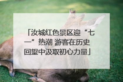 汝城红色景区迎“七一”热潮 游客在历史回望中汲取初心力量