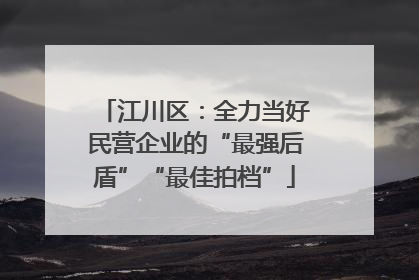 江川区：全力当好民营企业的“最强后盾”“最佳拍档”