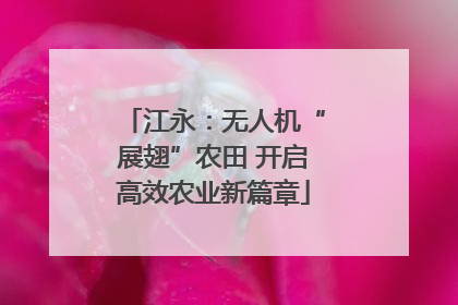 江永：无人机“展翅”农田 开启高效农业新篇章
