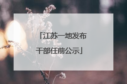 江苏一地发布干部任前公示