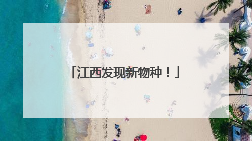 江西发现新物种！