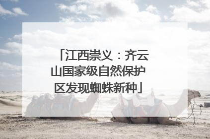 江西崇义:齐云山国家级自然保护区发现蜘蛛新种