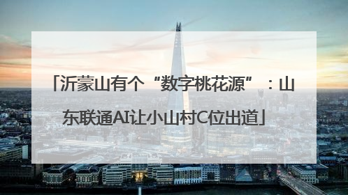 沂蒙山有个“数字桃花源”：山东联通AI让小山村C位出道