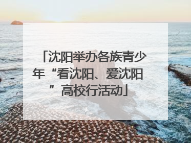 沈阳举办各族青少年“看沈阳、爱沈阳”高校行活动