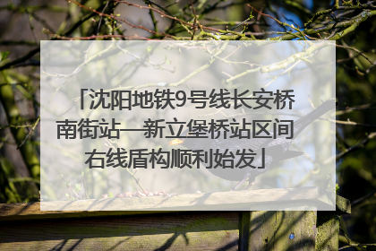 沈阳地铁9号线长安桥南街站—新立堡桥站区间右线盾构顺利始发