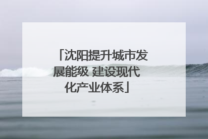 沈阳提升城市发展能级 建设现代化产业体系