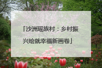 沙洲瑶族村：乡村振兴绘就幸福新画卷