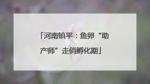 河南镇平：鱼卵“助产师”走俏孵化期