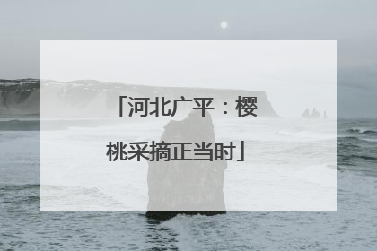 河北广平：樱桃采摘正当时