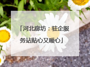 河北廊坊：驻企服务站贴心又暖心