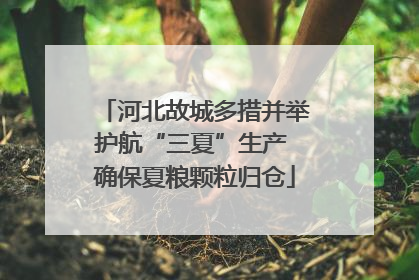 河北故城多措并举护航“三夏”生产 确保夏粮颗粒归仓