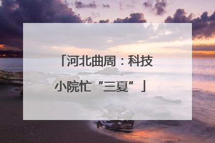河北曲周：科技小院忙“三夏”