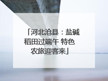 河北沧县：盐碱稻田过端午 特色农旅迎客来