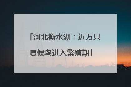 河北衡水湖：近万只夏候鸟进入繁殖期