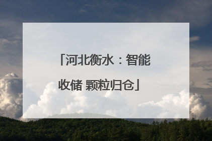 河北衡水：智能收储 颗粒归仓